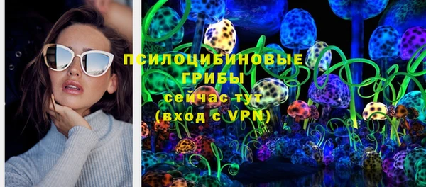 таблы Белокуриха