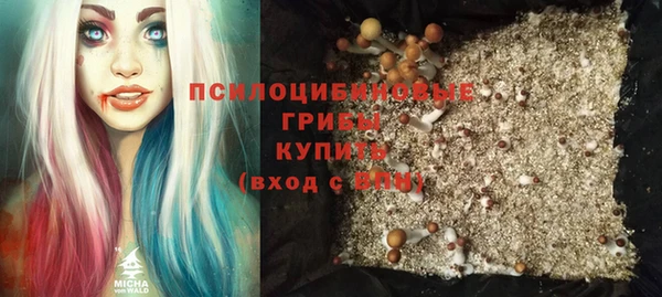 метамфетамин Богородицк