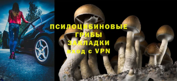 кокс Богданович