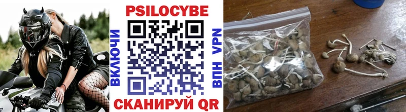 Псилоцибиновые грибы Magic Shrooms  Белово 