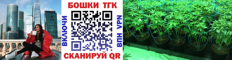 закладка  Белово  Каннабис тримм 
